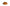 Classic AUTUMN Belt in Amber - Shipping December 12, 2025