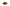 Classic SPRING Belt in Cinnamon - Shipping January 29, 2026