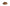 Classic SPRING Belt in Honey - Shipping January 29, 2026