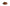 Classic AUTUMN Belt in Tan - Shipping January 29, 2026