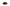 Classic AUTUMN Belt in Coffee - Shipping January 29, 2026