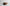 Classic AUTUMN Belt in Coffee - Shipping January 29, 2026
