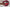 Classic SUMMER Belt in Coral Red - Shipping January 29, 2026
